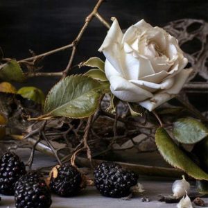 Black Currant Rose Ароматична олія