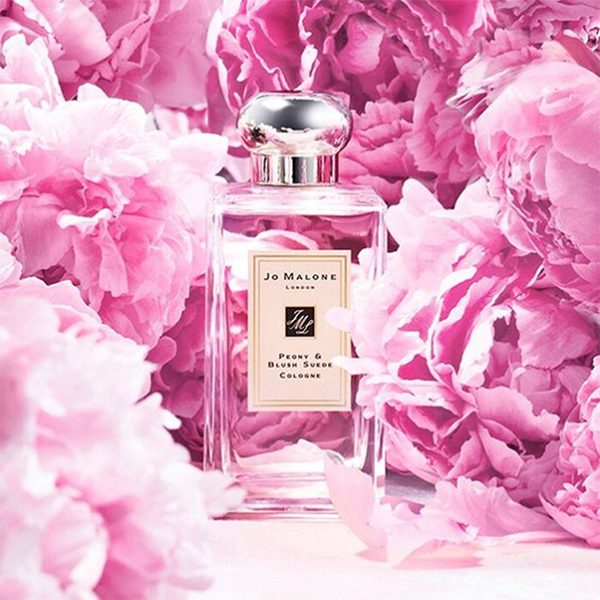 Ароматична олія Peony & Blush Suede