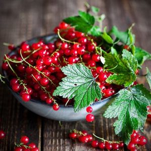 Wild Currant & Sandalwood Ароматична олія