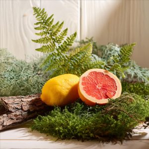 Fern & Moss Ароматична олія