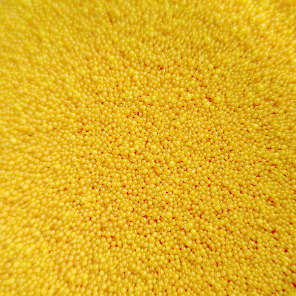 Гранули жожоба жовтий