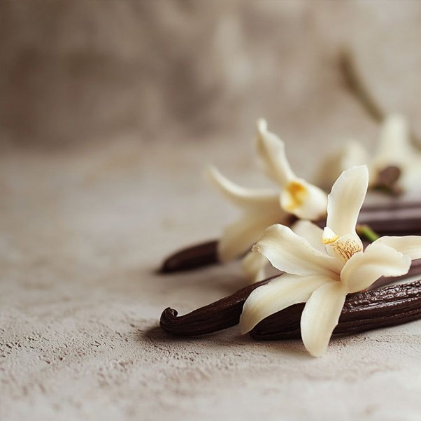 Madagascar Vanilla (Bath and Body Works) Ароматична олія