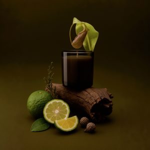 Bergamot Woods EO и FO Blend (тип Bath & Body Works) Ароматична олія