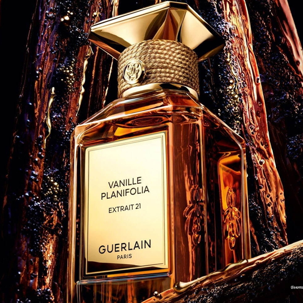Vanille Planifolia Extrait 21 (тип Guerlain) Ароматична олія